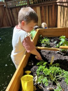 Preschool in Kentfield