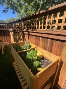 Kentfield Preschool Program