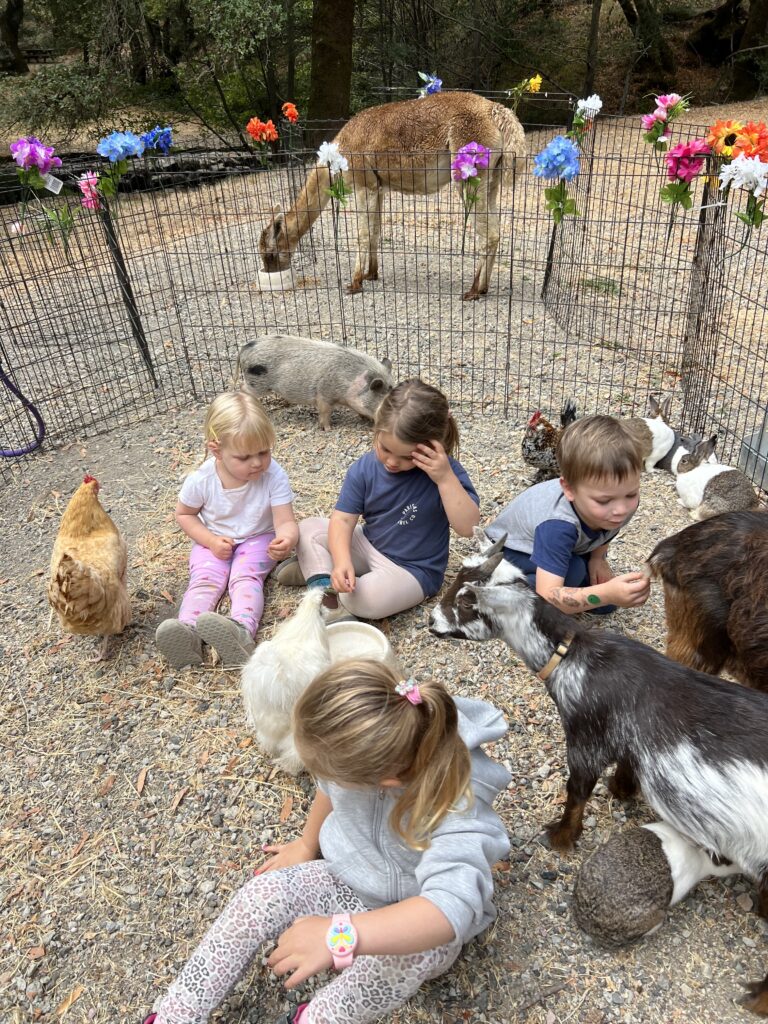 Nursery School in Kentfield