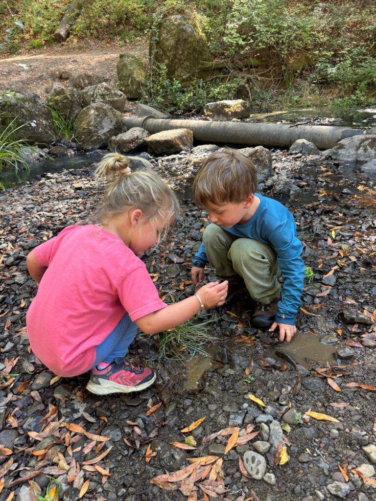 Two children exploring a creek at Wilderness Cubs